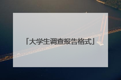 大学生调查报告格式