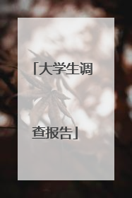 大学生调查报告