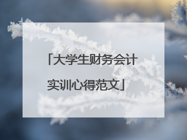 大学生财务会计实训心得范文