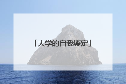 大学的自我鉴定