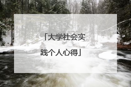大学社会实践个人心得