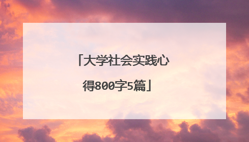 大学社会实践心得800字5篇