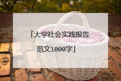 大学社会实践报告范文1000字