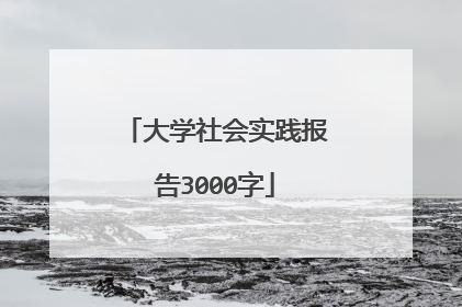 大学社会实践报告3000字