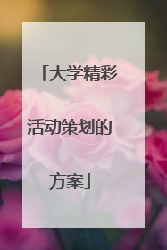 大学精彩活动策划的方案