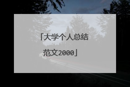 大学个人总结范文2000