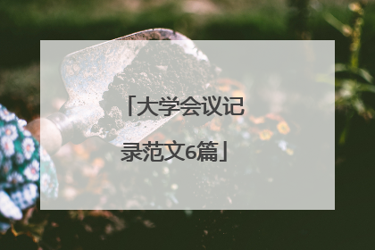 大学会议记录范文6篇