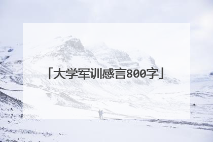 大学军训感言800字