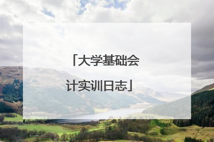 大学基础会计实训日志
