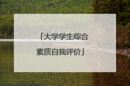 大学学生综合素质自我评价
