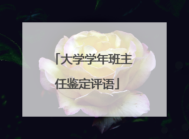 大学学年班主任鉴定评语