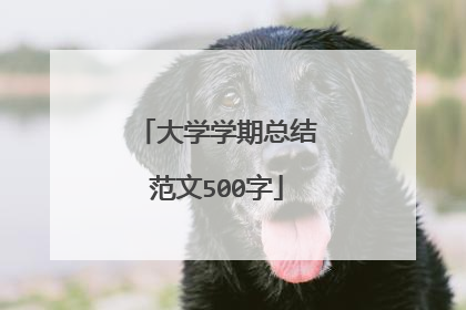 大学学期总结范文500字
