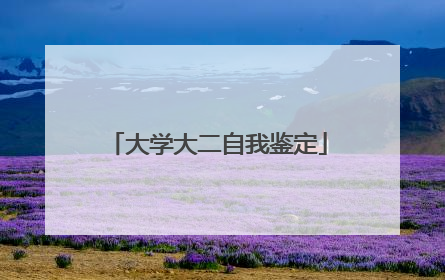 大学大二自我鉴定