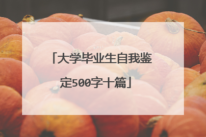 大学毕业生自我鉴定500字十篇