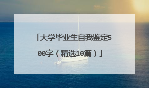 大学毕业生自我鉴定500字（精选10篇）