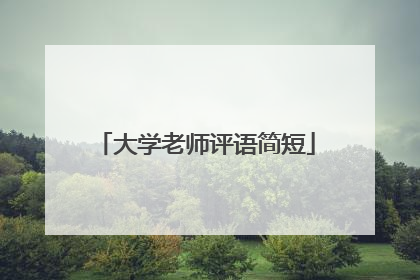 大学老师评语简短