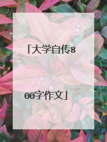 大学自传800字作文
