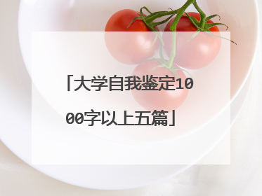大学自我鉴定1000字以上五篇