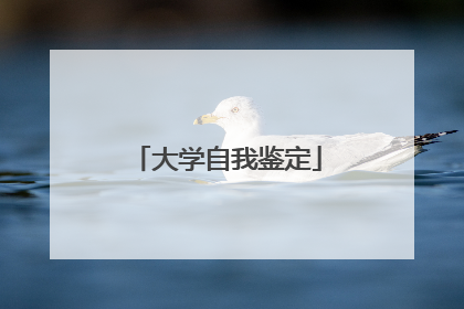大学自我鉴定