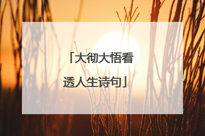 大彻大悟看透人生诗句