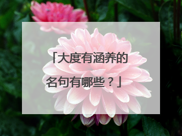 大度有涵养的名句有哪些？