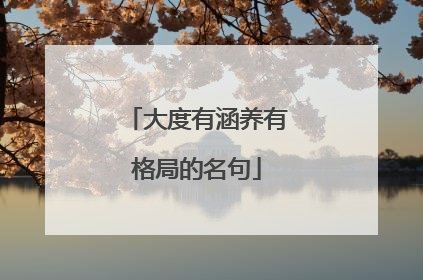 大度有涵养有格局的名句