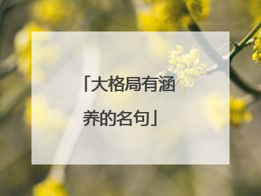 大格局有涵养的名句