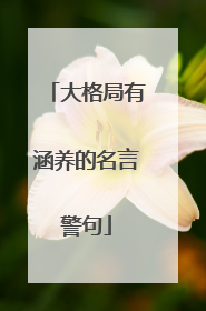 大格局有涵养的名言警句