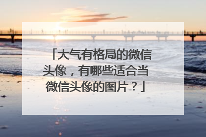 大气有格局的微信头像,有哪些适合当微信头像的图片?