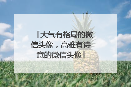 大气有格局的微信头像,高雅有诗意的微信头像
