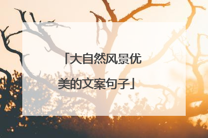 大自然风景优美的文案句子