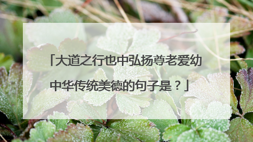 大道之行也中弘扬尊老爱幼中华传统美德的句子是？