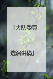 大队委竞选演讲稿