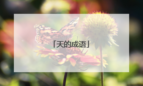天的成语