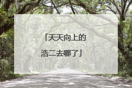 天天向上的浩二去哪了