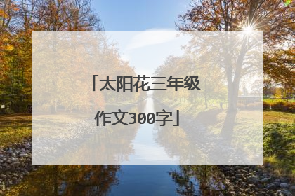 太阳花三年级作文300字