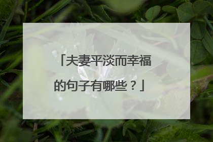 夫妻平淡而幸福的句子有哪些？