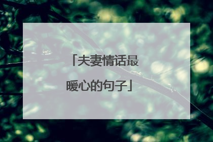 夫妻情话最暖心的句子