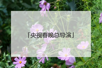 央视春晚总导演