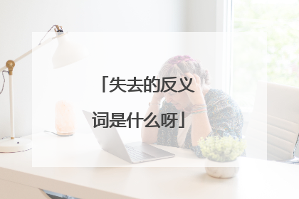 失去的反义词是什么呀