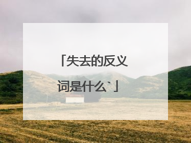 失去的反义词是什么`