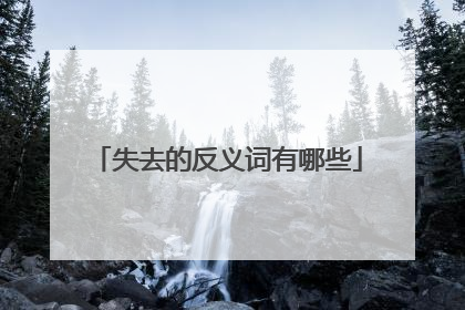 失去的反义词有哪些
