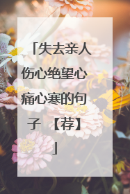 失去亲人伤心绝望心痛心寒的句子 【荐】
