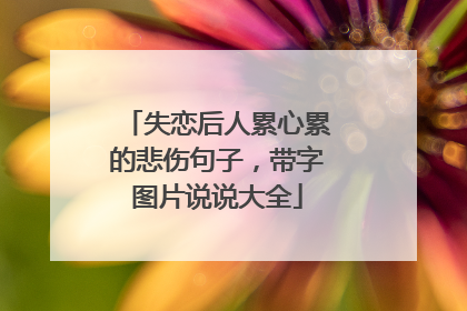 失恋后人累心累的悲伤句子,带字图片说说大全
