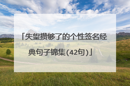 失望攒够了的个性签名经典句子锦集(42句)