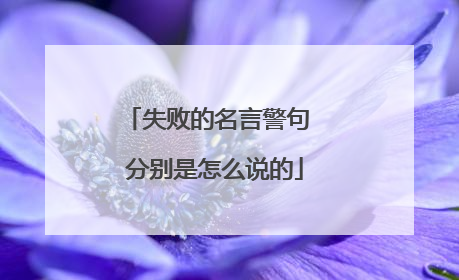 失败的名言警句 分别是怎么说的