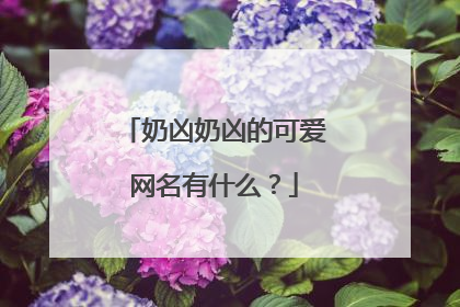 奶凶奶凶的可爱网名有什么？
