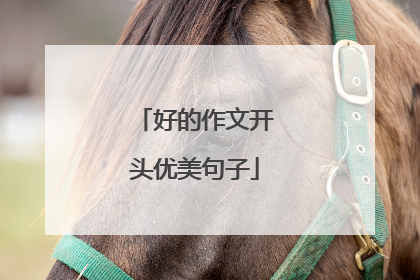 好的作文开头优美句子