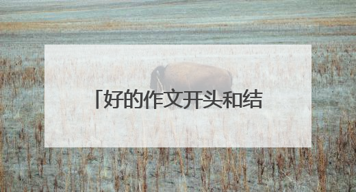 好的作文开头和结尾五年级摘抄大全
