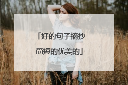 好的句子摘抄 简短的优美的